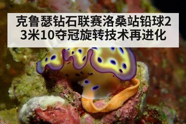 克鲁瑟钻石联赛洛桑站铅球23米10夺冠旋转技术再进化