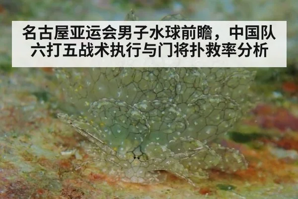 名古屋亚运会男子水球前瞻，中国队六打五战术执行与门将扑救率分析